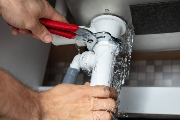 Best Flooded house restoration  in Lincolnwood, IL