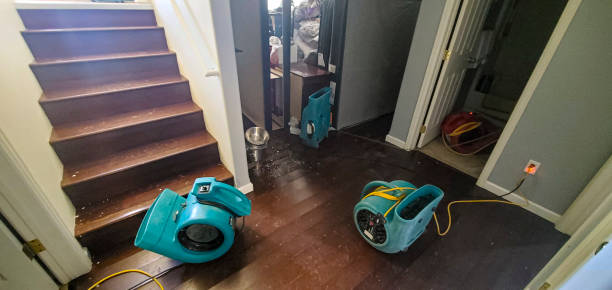 Best Water damage cleanup near me  in Lincolnwood, IL