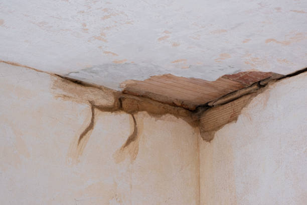 Best Basement water damage restoration  in Lincolnwood, IL
