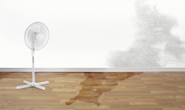 Best Residential water damage restoration  in Lincolnwood, IL