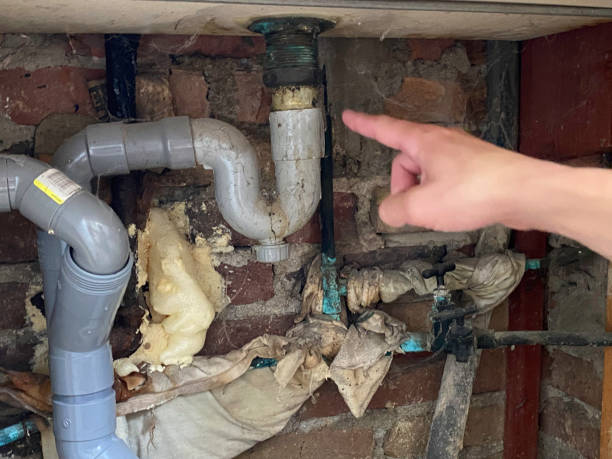 Best Ceiling water damage repair  in Lincolnwood, IL