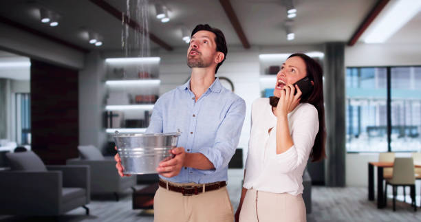 Best Water damage restoration services  in Lincolnwood, IL