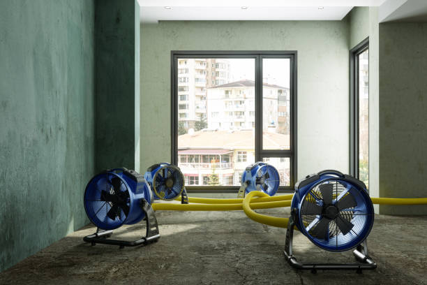 Best Water damage restoration cost  in Lincolnwood, IL
