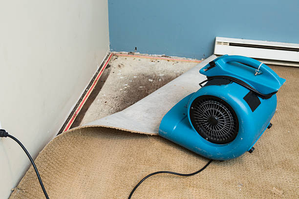Professional Water damage restoration in Lincolnwood, IL